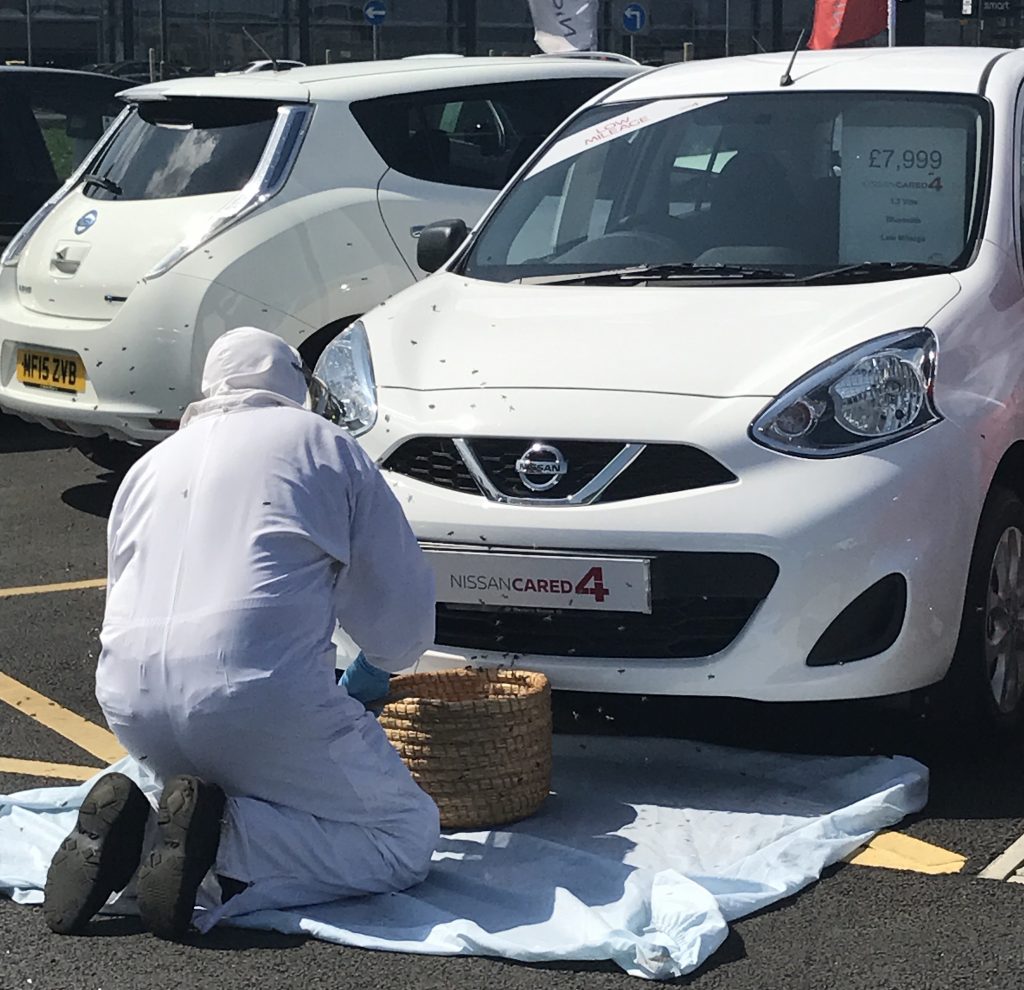In Edinburgh, beekeepers were needed to rid a Nissan Micra of a small swarm of bees.